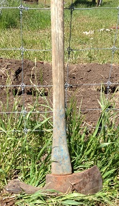 The Garden Is In Image